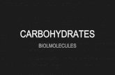 CARBOHYDRATES - velabiology.weebly.com · A. Carbohydrates are larger than atoms but smaller than organelles B. Carbohydrates are all bad and should be avoided C. Carbohydrates provide