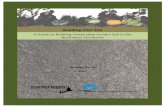 Building Your Soil - Ecology North€¦ · building soil, soil health and management, and gardening, contact Ecology North, or refer to the end of this report for some helpful suggested
