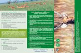 Accommodation and other facilities Park Regulations to ...dnpwc.gov.np/media/publication/Sukhal_brochure_2019.pdf · Bengal Florican, Park provides habitat for 21 species of fishes