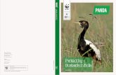 SPECIAL ISSUE 2012Great Indian Bustard and Lesser Florican populations are found in India. Almost 50 percent of the Bengal Florican population is found in India. The Houbara is the