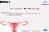 Prostate Pathology - ksumsc.com · Prostate Pathology 1. The process of removing the testicles Introduction The prostate is divided into zones: Central zone. Peripheral zone: most