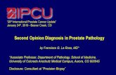 Second Opinion Diagnosis in Prostate Pathology · Neoplasia is a Risk Factor for Subsequent Prostate Cancer. The Journal Of Urology 184, 1958-1962, 2010 Pitfalls in Pathology Diagnosis