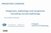 Diagnosis , pathology and prognosis, including variant ... · PROSTATE CANCER. How useful is the pathology . of radical prostatectomy specimen? Am. J. Surg. Pathol. 2013; 37: 219.