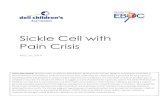 Sickle Cell with Pain Crisis · 60 . Minutes. 20 . Minutes. Sickle Cell Disease with Pain Pathway - Emergency Department. Evidence Based Outcomes Center. Triage Level . 2 ** Obtain