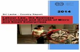 Labour Law, the Business Environment and Growth of Micro ... · Labour Law, the Business Environment and Growth of Micro and Small Enterprises International Labour Organization Sri