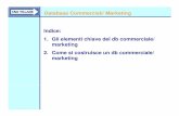 Database Commerciali/ Marketing Indice: 1. Gli elementi ...blog.crmvillage.it/wp-content/uploads/2009/03/database-marketing1.pdf= servono per il top management e a chi decide, per
