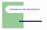 ORGANISATION BEHAVIOURlibvolume7.xyz/nursing/bsc/4thyear/managementofnursingservicesan… · ORGANISATION BEHAVIOUR Interrelated dimensions influencing behaviour: The Individual -working