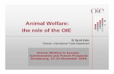 Animal Welfare: the role of the OIE - COE · 2006-12-12 · ad hoc Groups Working Groups Regional Representations International Trade Department Human Resources and Budget Management