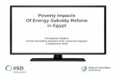 Poverty Impacts Of Energy Subsidy Reform in Egyptfffsr.org/wp-content/...Experiences-from-Egypt.pdf · • Average exp. rises strongly with income; relatively even across quintiles: