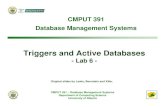 Triggers and Active Databasesugweb.cs.ualberta.ca/~c391/W08/resources/LabSlides/L6-391-F06.pdf · Triggers Database Management Systems CMPU 391 8 Triggers in SQL:1999 Consideration: