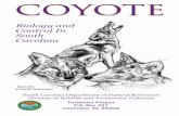 Biology and Control In South Carolinadnr.sc.gov/wildlife/coyote/coyoteinfo.pdf · 2020-05-22 · is now found throughout North America due to range expansion and illegal translocation