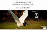 SOS Pantanal - - Apresentação do PowerPoint · 2018-05-17 · A SOS Pantanal participa da iniciativa MapBiomas, que vai produzir mapas de uso e cobertura vegetal de todo território