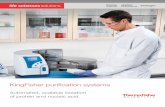 KingFisher purification systems - Thermo Fisher …tools.thermofisher.com/content/sfs/brochures/kingfisher...4 Complete purification system for nucleic acids, proteins, and cells Successful