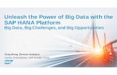 Unleash the Power of Big Data with the SAP HANA Platform · Unleash the Power of Big Data with the SAP HANA Platform Big Data, Big Challenges, and Big Opportunities Greg Wong, ...