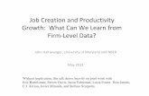 Job Creation and Productivity Growth: What Can We Learn ...pedl.cepr.org/sites/default/files/Haltinwanger.pdf · Microsoft PowerPoint - Ppt0000009.ppt [Read-Only] Author: cpiccioni