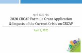 April 2020 PLC: 2020 CBCAP Formula Grant Application ... · Funding to be Awarded for FY2020 13 Deadline for Applications is June 5, 2050. Forms, Assurances, and Certifications 14