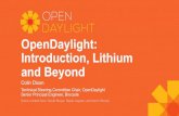 OpenDaylight: Introduction, Lithium and Beyondcolindixon.com/wp-content/uploads/2014/05/sdn-meetup-odl-2015-0… · OpenStack (via Neutron) OpenStack Neutron Service OVSDB VTN Plugin2OC
