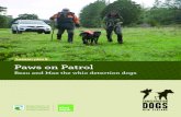 Lesson plan 8 Paws on PatrolActivity ideas Activity 1: Watch Paws on Patrol episode 8 and have a class discussion to summarise the story. Then watch the video a second time and ask