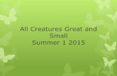 All Creatures Great and Small Summer 1 2015...All Creatures Great and Small Summer 1 2015 We went on a mini beast hunt to Smithills Country Park. We searched for mini beasts in particular