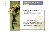 Energy Metabolism & Body Temperature · 2017-12-20 · BODY TEMPERATURE REGULATION . Body temperature ... PO/AH monitors its own temperature and receives input from receptors in skin