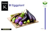 Pocket Bt Eggplant - ISAAA.org · Tarong Dagiti mannalon ti tarong ket sagabaen da iti dakkel nga pannaka lugi nga 51-73 porsyento kada tawen maigappu ti igges ti tarong nga “Eggplant