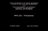 Ph.D. Thesis - zcu.czhome.zcu.cz/~jhouska/Thesis/Thesis.pdfchapter 3 of the thesis is based on results shared with other Ph.D. students, only part of all collectively obtained results