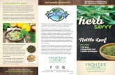 FB Brochure Herb Savvy - M525393 - Nettles Leaf v12The plant’s genus name, Urtica, comes from the Latin urere, “to burn,” while dioica, the species name, means “two houses,”