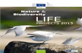 Nature Biodiversity LIFE...BELGIUM LIFE13 NAT/BE/000074 HELVEX-LIFE Cross-Border heath restoration, inland dunes and pools, ... Restoration of wetlands in dune habitats ... Restoration