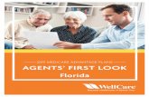 2019 MEDICARE ADVANTAGE PLANS AGENTS’ FIRST LOOK · 2019-04-24 · The Agents’ First Look provides an overview of WellCare, how we support you, benefits to your Medicare beneficiaries,
