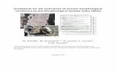 Guidebook for the evaluation of stream morphological ... · Guidebook for the evaluation of stream morphological conditions by the Morphological Quality Index (MQI) M. Rinaldi1, M.