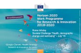 Roma Infoday Societal Challenge Health, demographic change ... · partnerships Frontier research Support to innovation Research Education Innovation Health research infrastructures