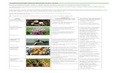 CARMARTHENSHIRE NATURE RECOVERY PLAN FUNGI · CARMARTHENSHIRE NATURE RECOVERY PLAN – FUNGI Environment (Wales) Act 2016 – Section 7 - Biodiversity lists and duty to take steps