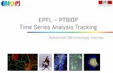 EPFL – PTBIOP Time series analysis trackingAcquisition tips –Choose a time interval coherent with the dynamics you want to observe –Consider that Signal to Noise Ratio decreases