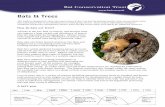  · Bats & Trees This leaflet is designed for those who want to know if their tree has bat potential and for those worried about works that could disturb bats in an individual tree