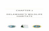 CHAPTER 2 DELAWARE’S WILDLIFE HABITATS Submitted Docu… · Beach and Dune Uplands ... harbor an equally diverse flora and fauna. ... Natural, permanent grasslands were probably