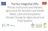 The Integrative CRPs: Policies Institutions and Markets ... · Multi-institutional initiative of IWMI, UNESCO-IHE and FAO Based on remote sensing and global hydrological models to