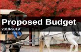 Proposed Budget - Shire of Mansfield · 2019-03-22 · • Dual Court Basketball Stadium Feasibility Study • IT Renewal • Waste and Environment Strategies • Street Tree Audit