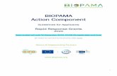 BIOPAMA Action Component · 2020-06-01 · (where identified in ACP Countries), Key Biodiversity Areas (KBAs), Marine Managed Areas or other protected and conserved areas, where their