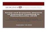 Social and Economic Impacts of Expanded Gambling in … · 2018-12-06 · Direct Casino Expenditure and Revenue ... Table 1. Venues Containing Electronic Gambling Machines and/or