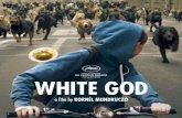 WHITE GOD - Amazon Web Servicesaffif-sitepublic-media-prod.s3-website-eu-west-1.amazonaws.com/... · There is no question that when faced with betrayal and friendship, the audience