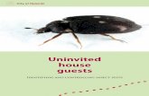 Uninvited house guests - Helsingin kaupunki · control method fails to produce the hoped-for results, contact the home owners association or a pest control firm. - Keep woollen clothes