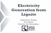 Generation from Electricity Generation · generation of electricity that is beneficial for the region Lignite is a secure and reliable source of energy Lignite-based power plants
