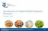 Oct 2016 CyberColloids Seaweed Research · • Hotchkiss, S. (2010). Investigation of the Flavouring and Taste Components of Irish Seaweeds Industry-Led Award, Final Report. Marine
