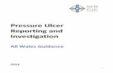 Pressure Ulcer Reporting and Investigation...pressure ulcers, yet a growing body of evidence suggests these are largely preventable (NPSA, 2010). The cost of treating a pressure ulcer
