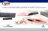 A TELECOMMUNICATIONS & WIRELESS AUDIT · TELECOMMUNICATIONS AND WIRELESS AUDIT? WHY COMPANIES NEED TELECOMMUNICATION AND WIRELESS AUDITING: Telecommunications Audits include a review
