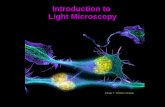 Introduction to Light Microscopynic.ucsf.edu/dokuwiki/lib/exe/fetch.php?media=intro_microscopy.pdf · Light Microscopy. The Light Microscope • Four centuries of history • Vibrant