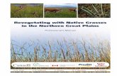 Revegetating with Native Grasses in the Northern Great Plains Seeding Guide.… · Native plant materials are divided into two main categories – cool season and warm season. Cool