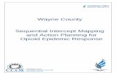 Wayne County Sequential Intercept Mapping and Action ......- 2 - Wayne County, Ohio Sequential Intercept Mapping Introduction The purpose of this report is to provide a summary of