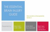 THE ESSENTIAL BRAIN INJURY GUIDE CBIS/2_ Neuroanatom… · The medulla merges with the spinal cord creating the base of the brain stem The medulla serves as a control center for involuntary