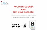 AVIAN INFLUENZA AND THE IZSVE BIOBANK...Biotechnology Materials Data Service Expertise • Professional repositories of biological samples (Paskal et al., 2018) • Long term storage